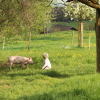 IMG_5676.JPG